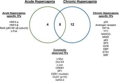 Hypercapnia Regulates Gene Expression and Tissue Function